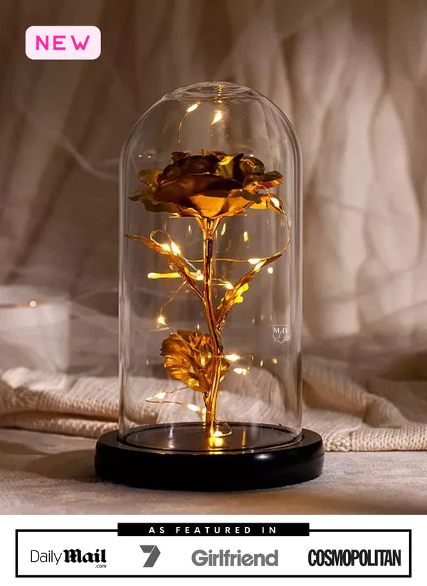 24K gold foil  Rose In Glass Dome with LED Lights