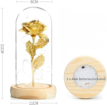 24K gold foil  Rose In Glass Dome with LED Lights