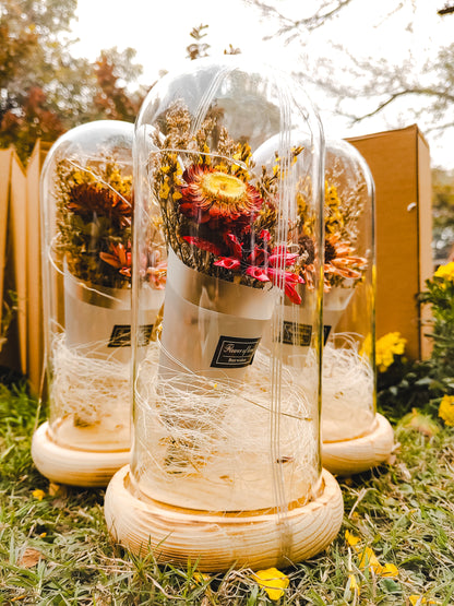 Peserved flowers in bell jar with fairy lights  Romantic Gifts for Valentine's, Mother's ,Birthday Day