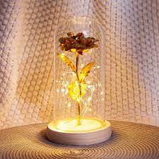 24K gold foil  Rose In Glass Dome with LED Lights